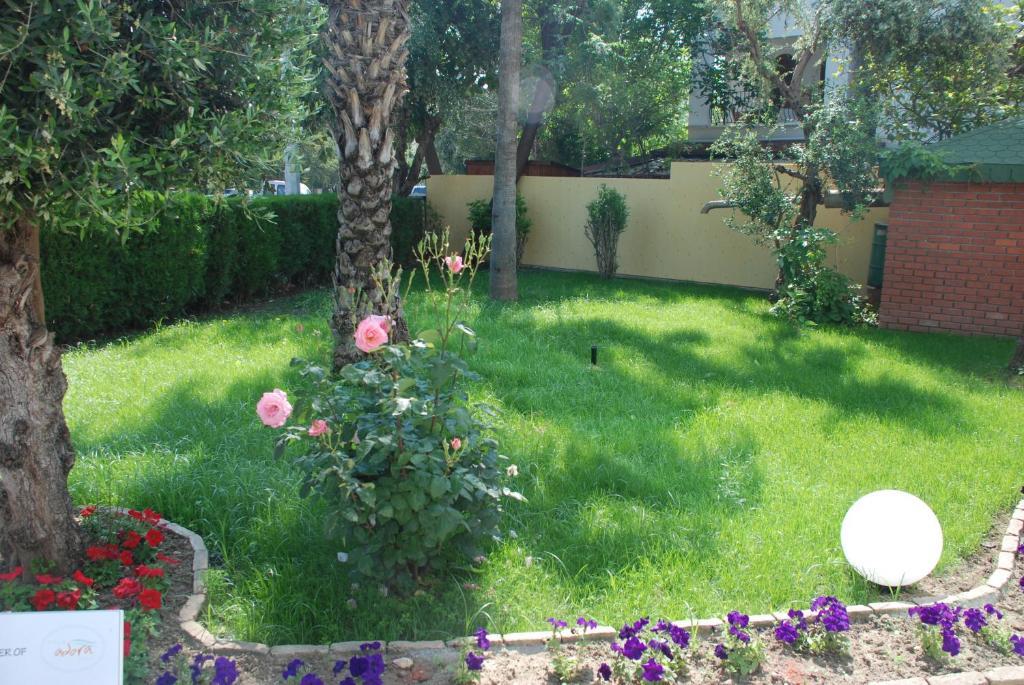 Villa Adora Beach Side Bagian luar foto